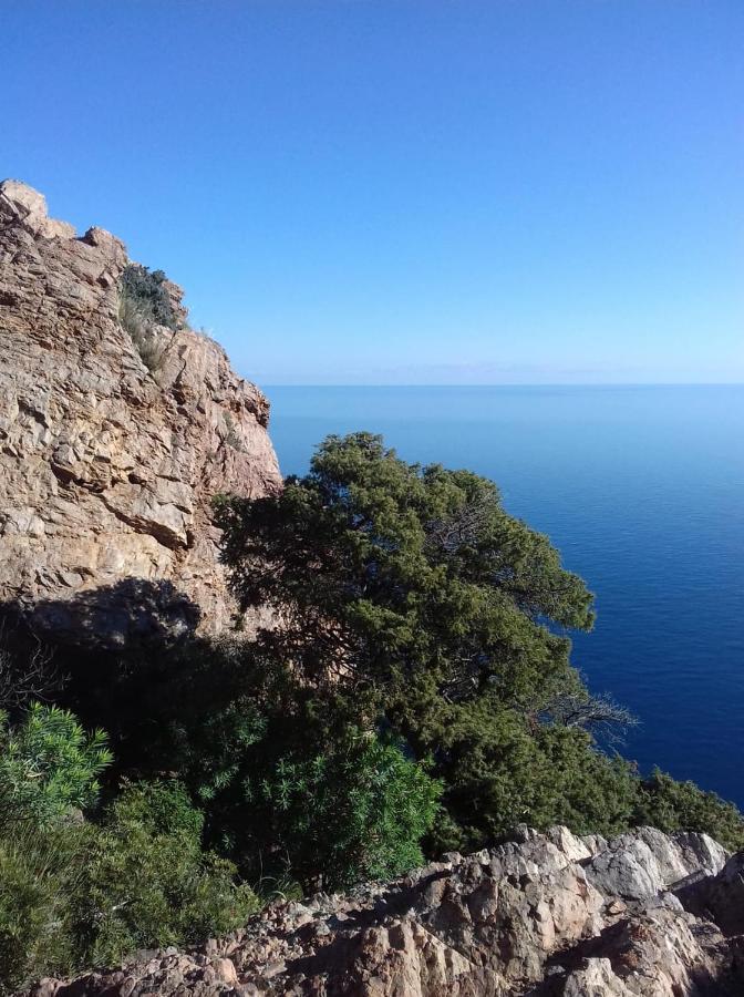 Le Roverelle Ilbono Εξωτερικό φωτογραφία