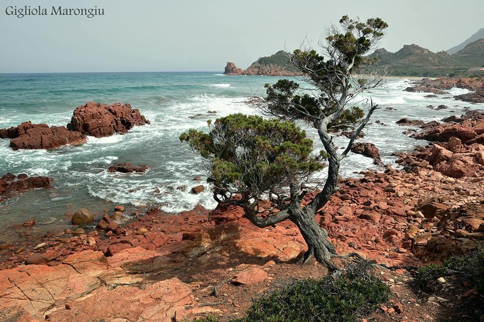 Le Roverelle Ilbono Εξωτερικό φωτογραφία