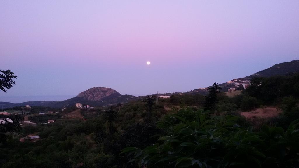 Le Roverelle Ilbono Εξωτερικό φωτογραφία